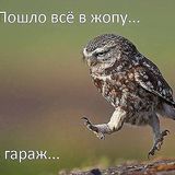 Denis.D