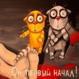sokol